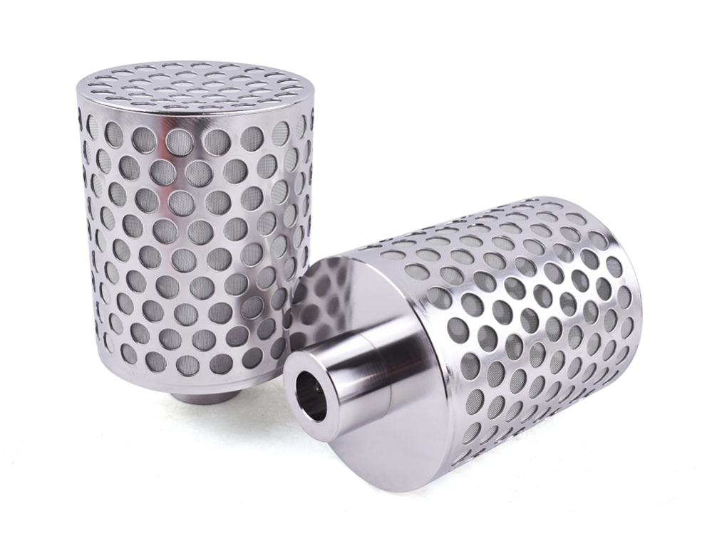 perforated mesh filter
